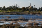 Larnaka - salt lake